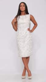 Silver Lace Dress - Image 4