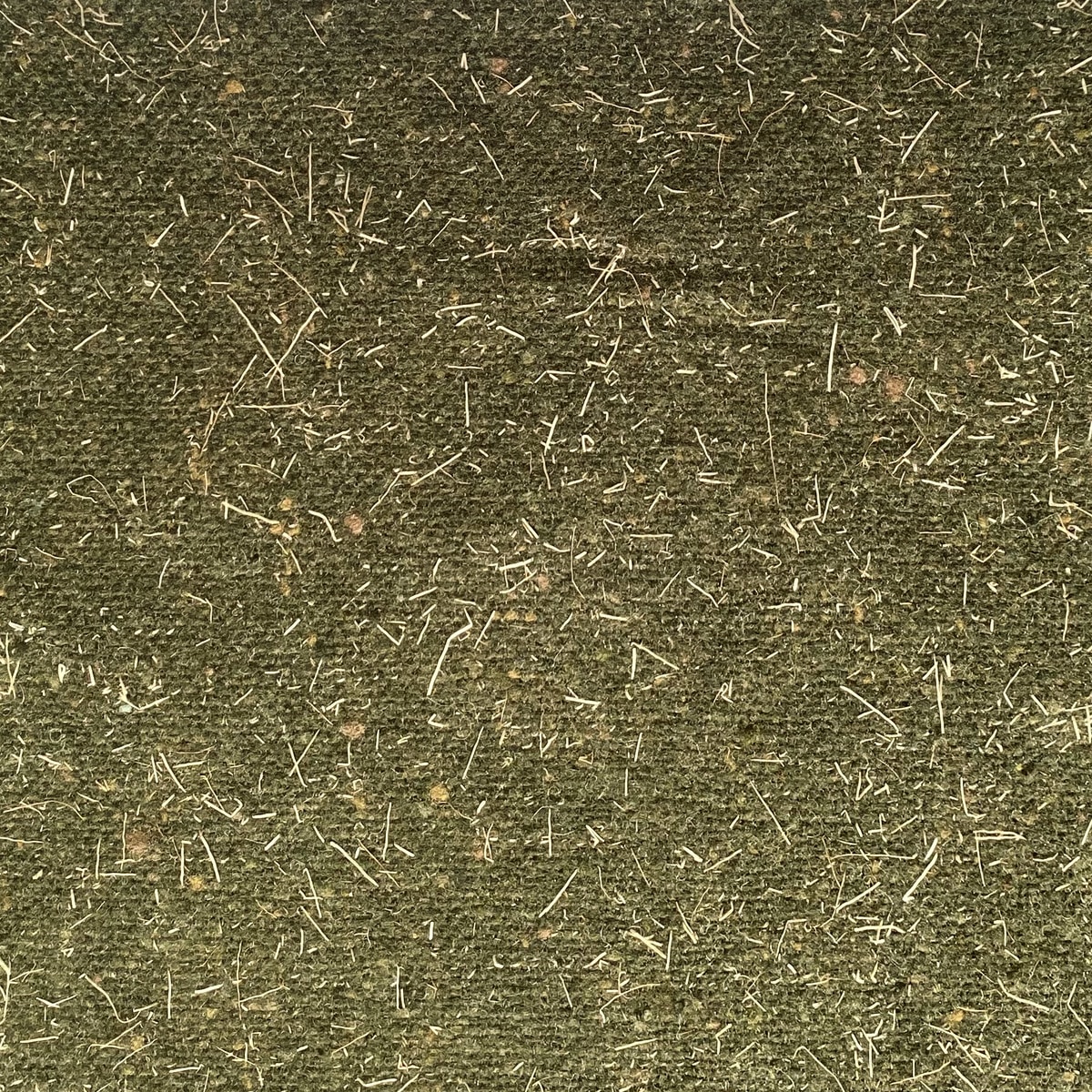 STK1016_01 Flat close-up of olive green wool fabric with a finely mottled surface scattered with short, irregular pale straw-coloured raffia fibres.